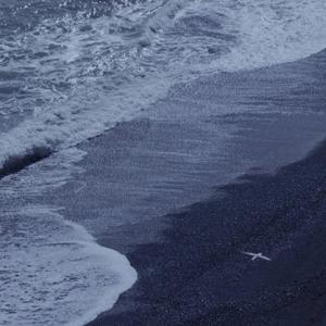 国产免费做爱视频在线
